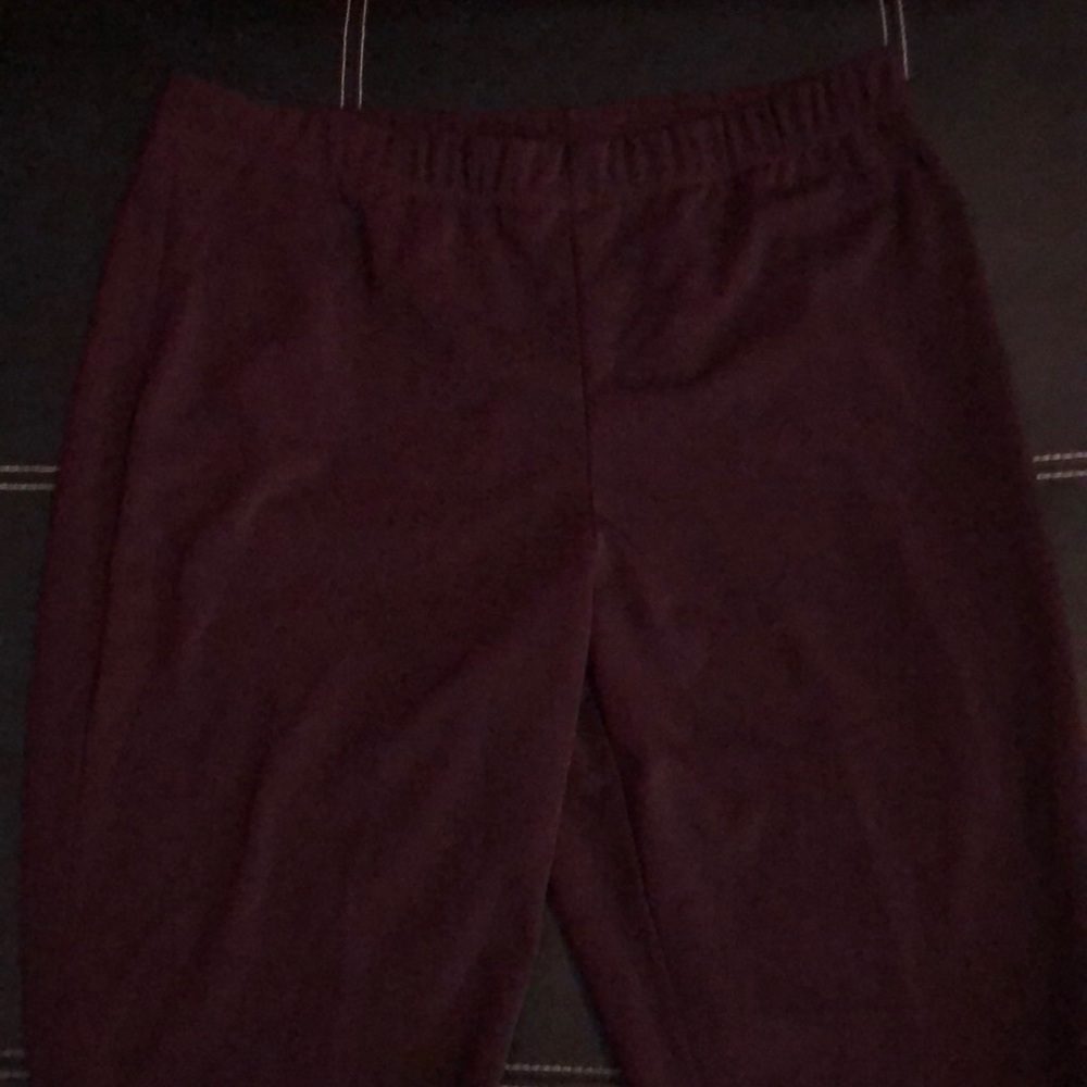 Gorgeous Susan Graver TALL dress pants, elastic waist.